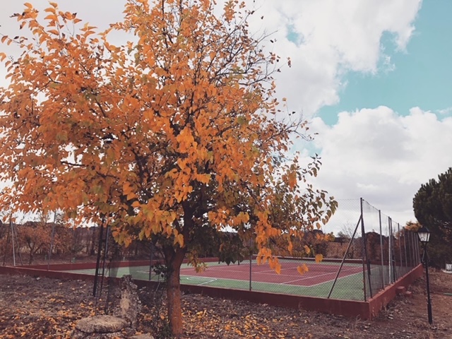 pista tenis otoño